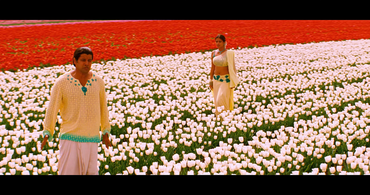 VideoCapture_20241122-195836