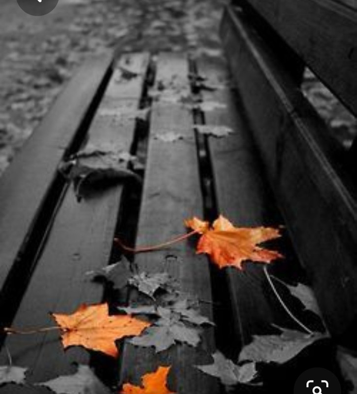 Screenshot_20230409_224900_Pinterest