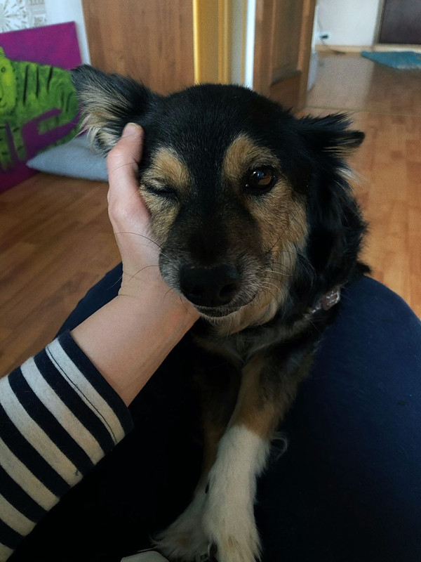 CD20E36C-5496-4C75-8DD4-FFF80D4C1FAF