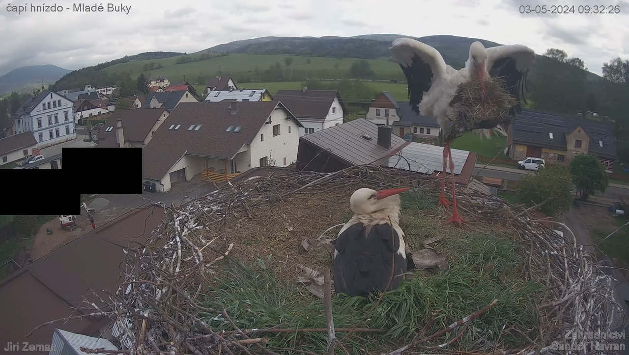 Tiešraides kamera — Mladé Buky — stārķa ligzda 11-14-53 screenshot
