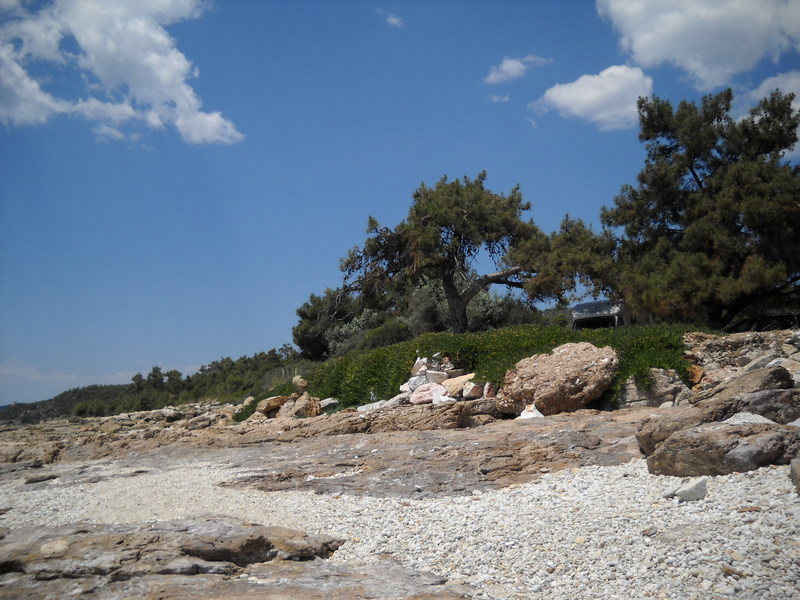 Slika