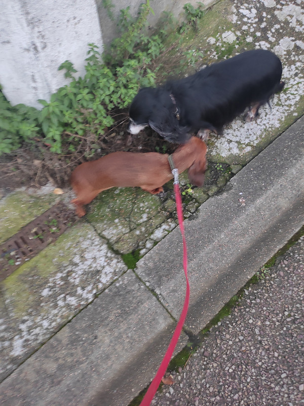 [Image: IMG-20231230-170350.jpg]