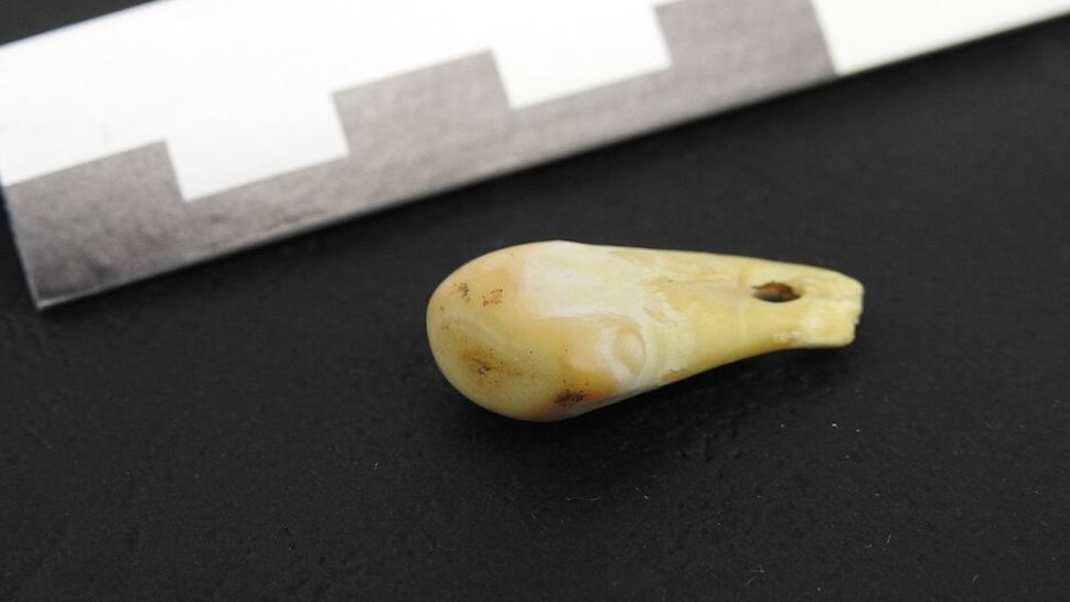 dna umano pendente paleolitico siberia
