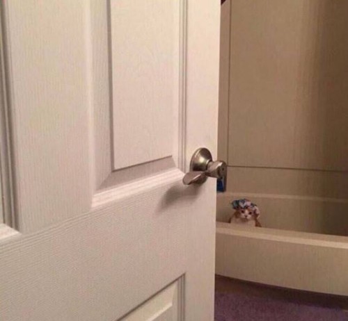 thumbs-picdump736-086.jpg
