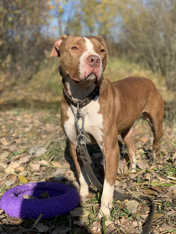 03B42D57-B45A-4C5D-A8B2-95A783C8D616