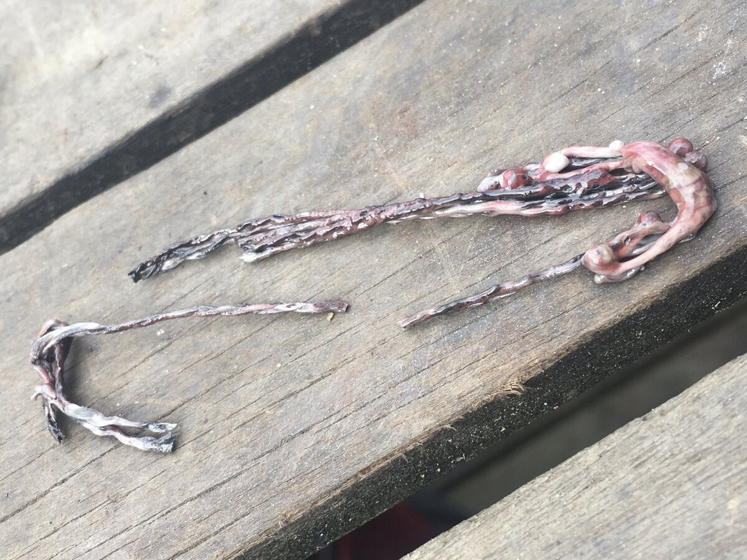 D8024841-29EA-4EF2-B620-4DD2942D01EC