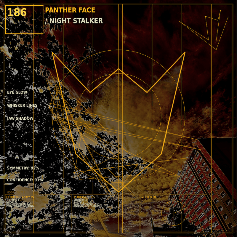 Panther face
