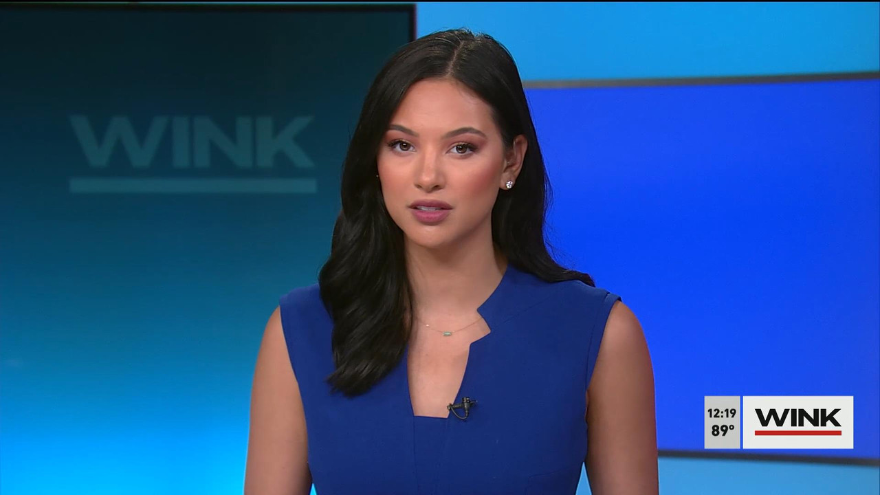 06.15 - 17.00.00 - The WINK Noon News. News..ts_snapshot_21.26_[2022.06.15_22.50.11]