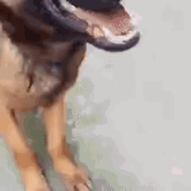 [Linked Image from i.postimg.cc]