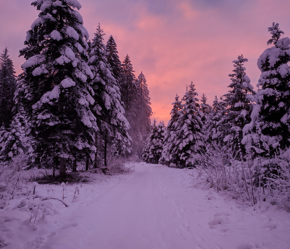 39 - C'était le 5 décembre 2020
