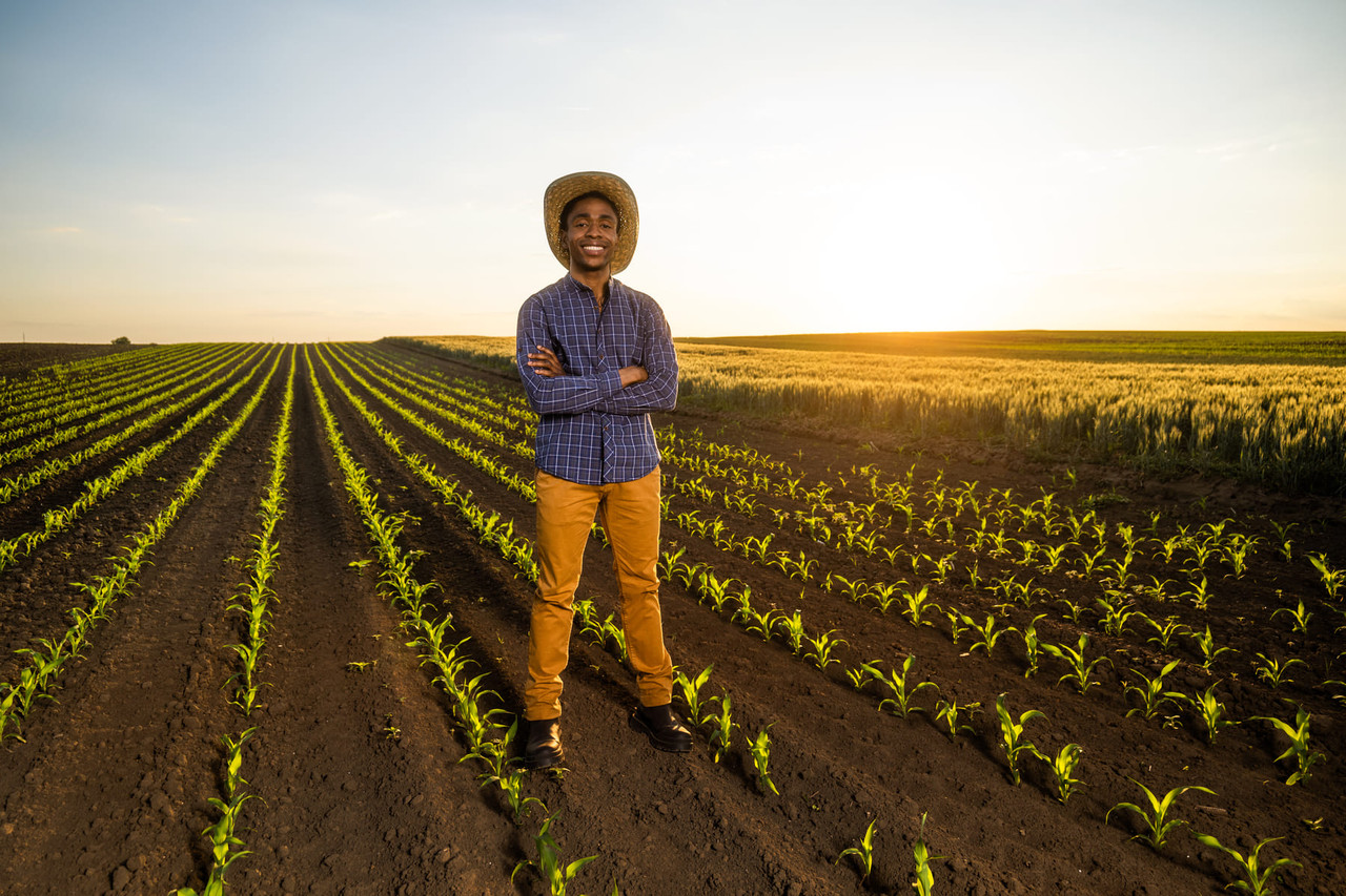 Farmer in field