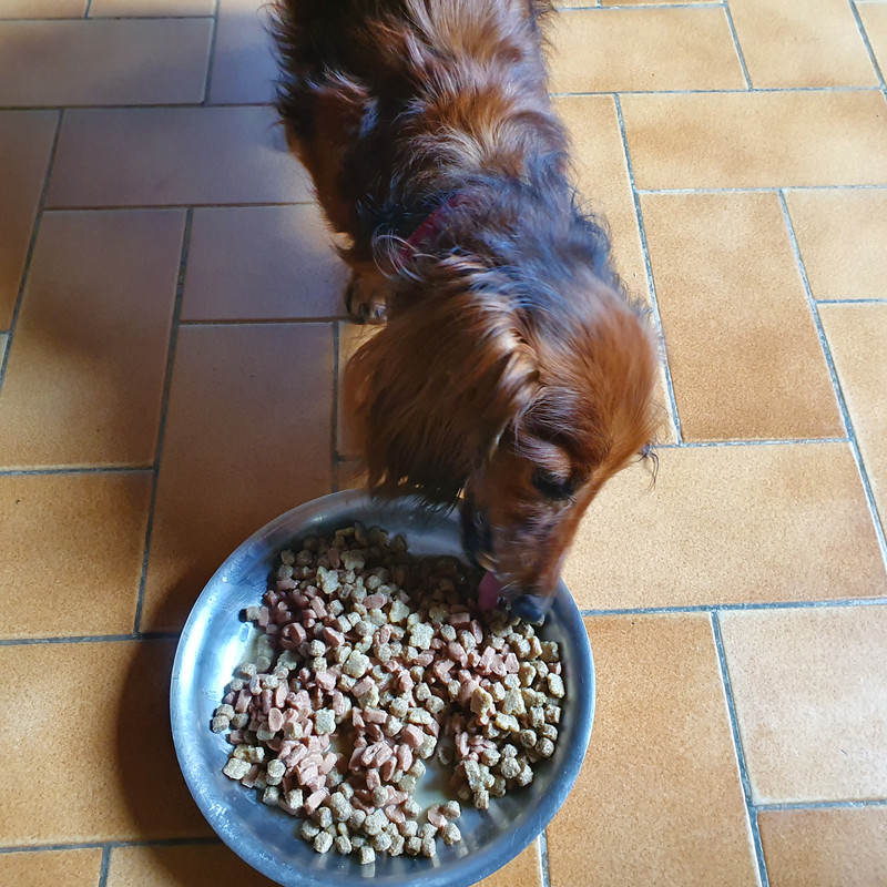 [Image: 20210518-101946.jpg]