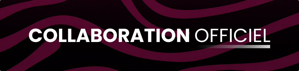COLLABORATION OFFICIEL