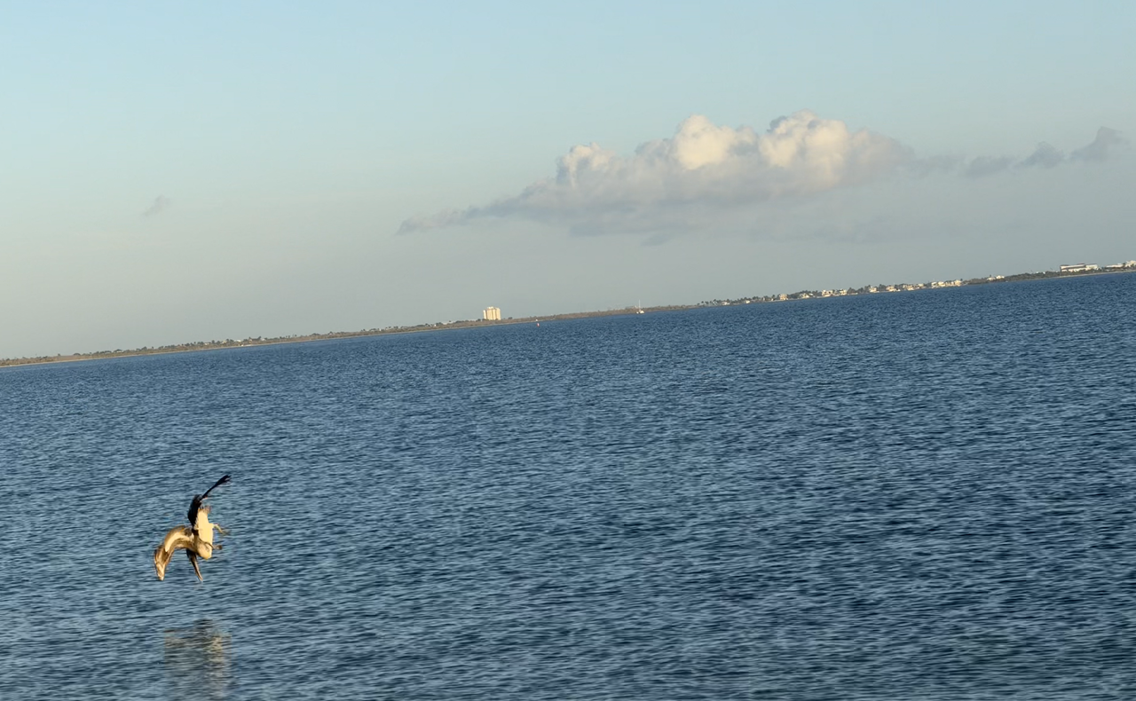 [Image: Sanibel-Island-Bridge11.png]