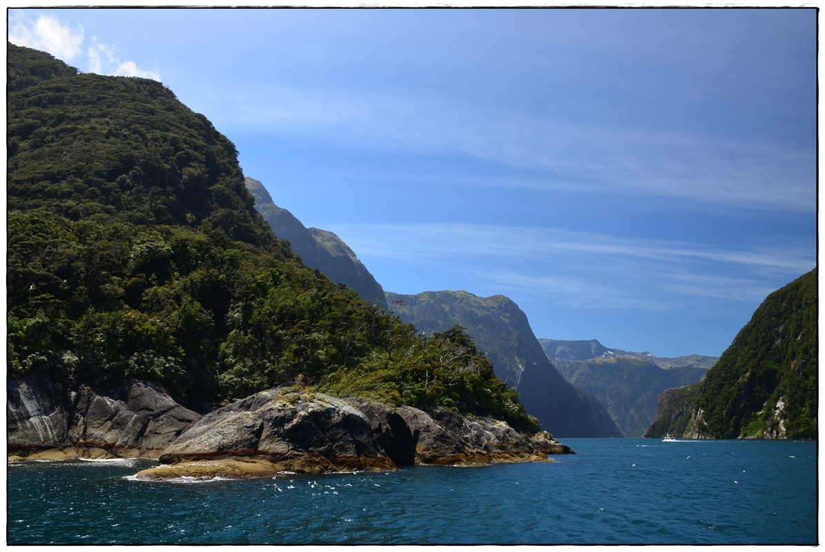 ¿Lo mejor de la isla Sur en 9 días? (Navidad 2018) - Escapadas y rutas por la Nueva Zelanda menos conocida (14)