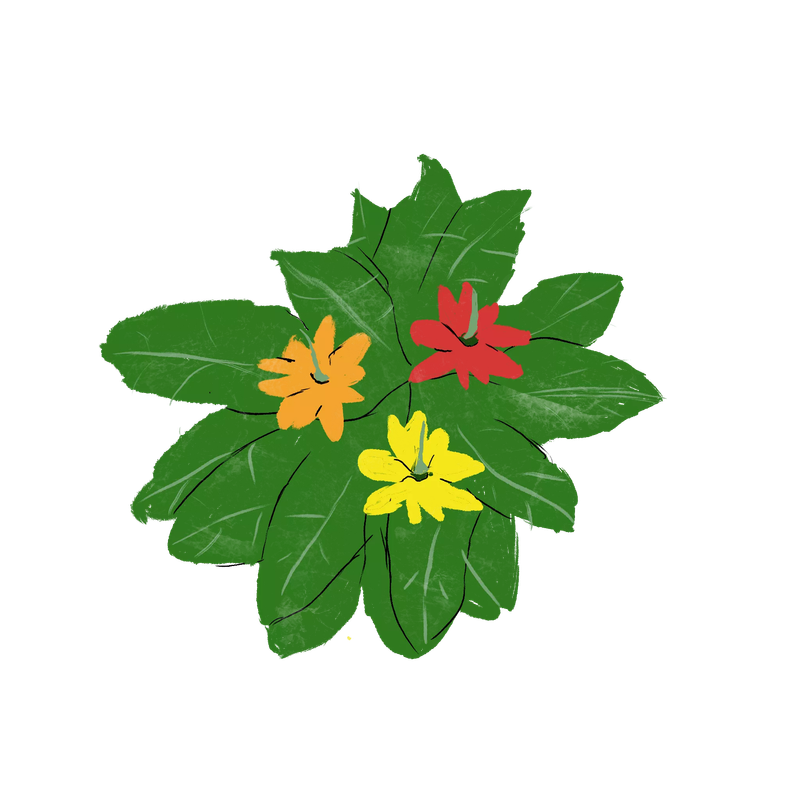 received_820088065445489