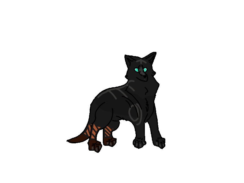 ezgif-com-animated-gif-maker.gif