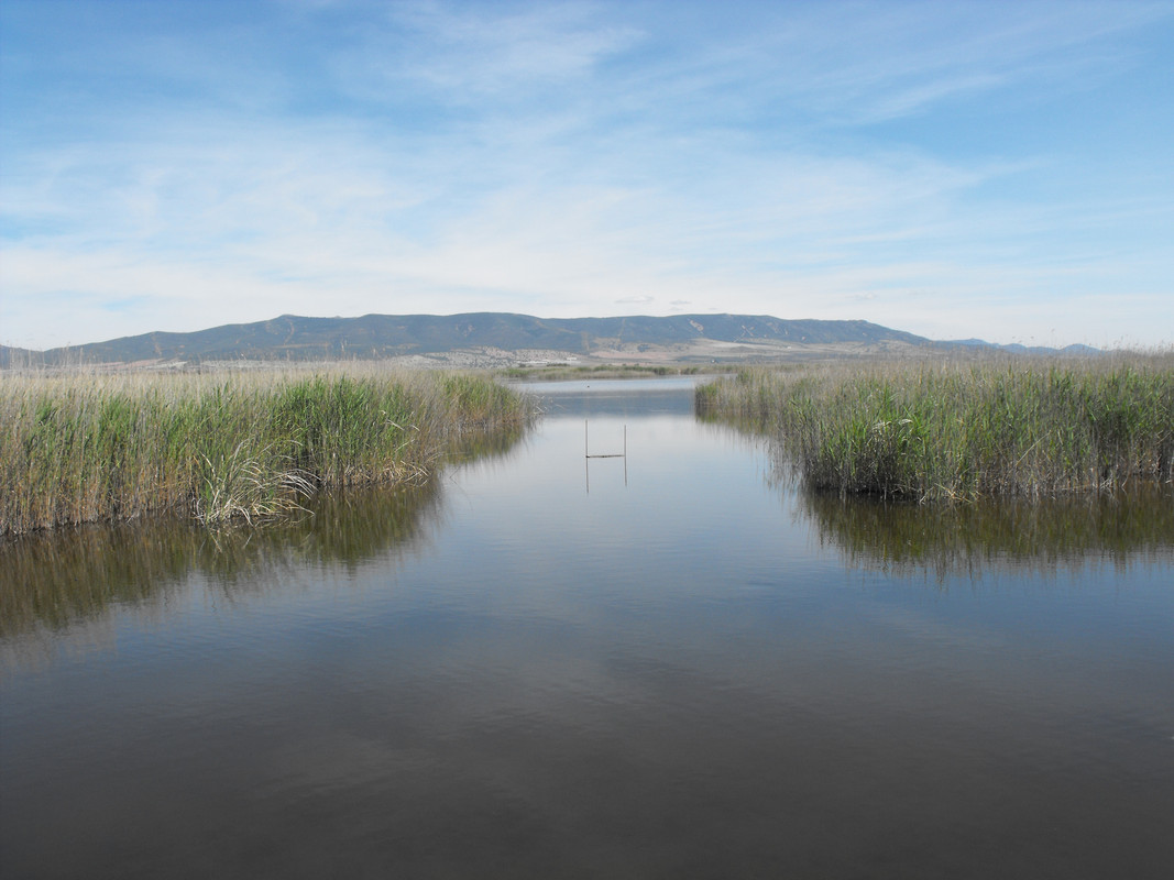 Tablas-de-Daimiel-20