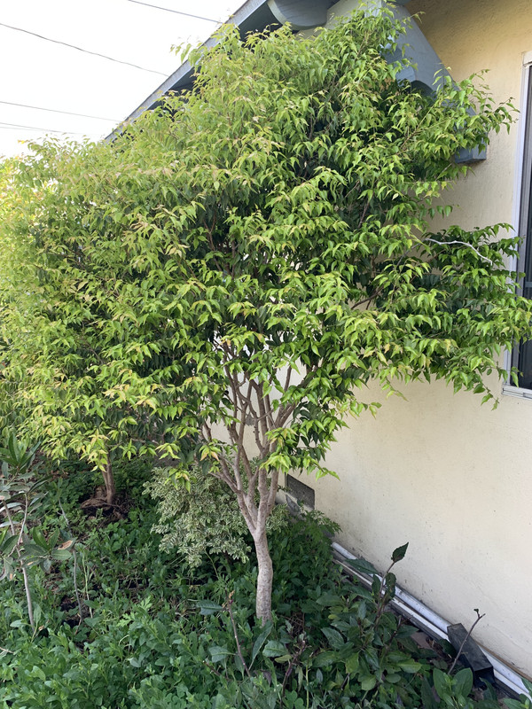 79894A62-10F2-47A8-89FC-8290BE01E979