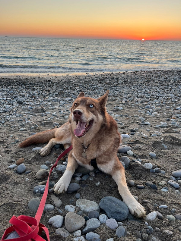 F166F490-2105-4EBE-8621-B3AB9D6CAB75