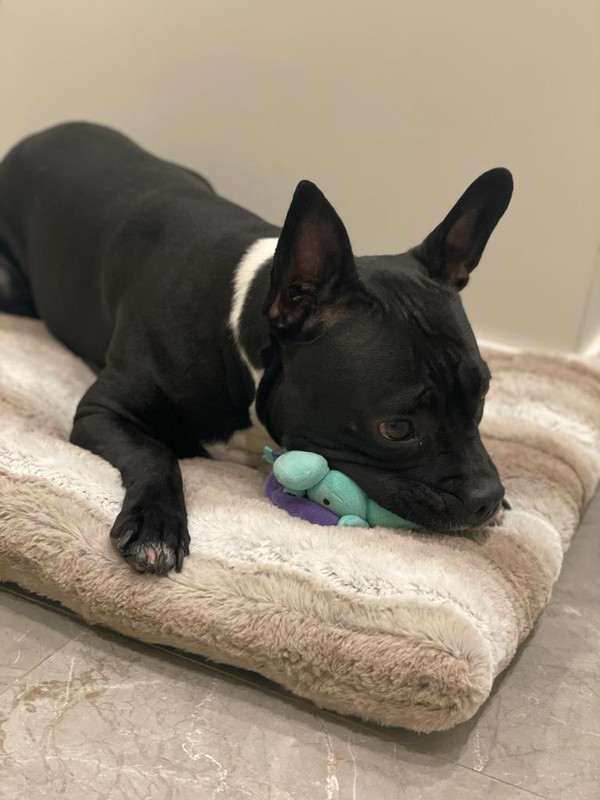 01D95A74-AF82-472A-9F42-711BB936DD17