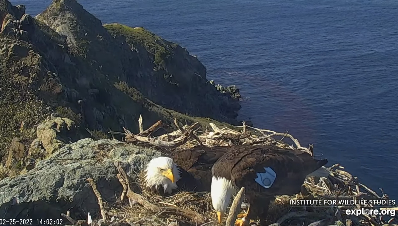 52345D93-EDD8-494B-A219-5896ECEFE5DB