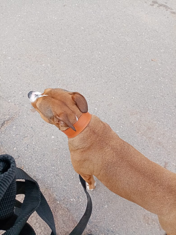 60D0F895-9BC9-47AB-991D-99ED5E1B7025