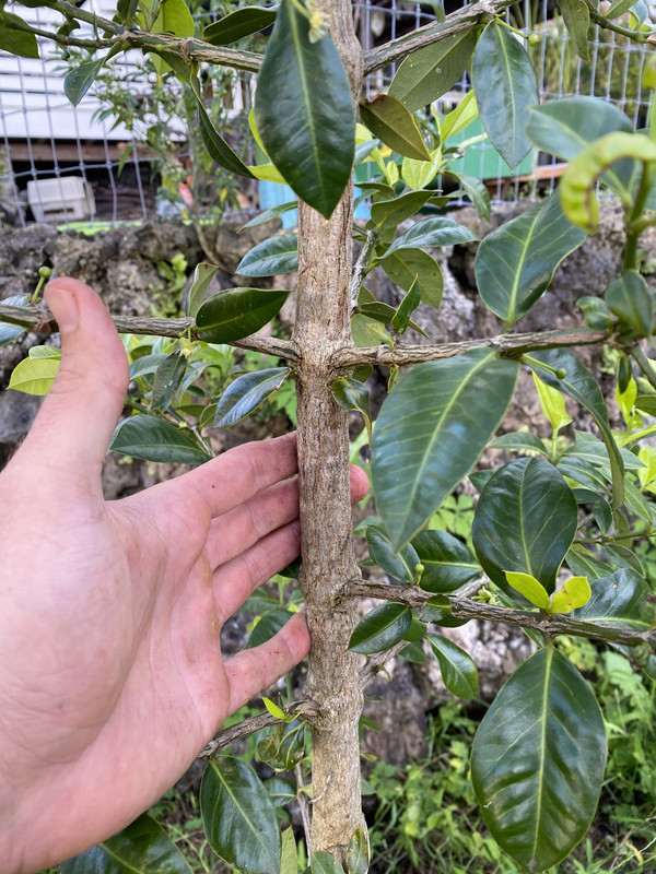 5897CBCE-5592-4DD3-B94E-8BF7E039C829