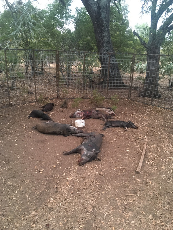 5F2E9B3C-0893-446A-9424-D0B153BB3B97