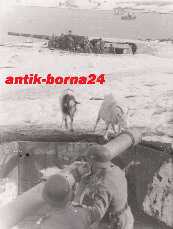 Foto KM Soldat Matrose Atlantik Wall Ferngeschütz Küstengeschütz Optik