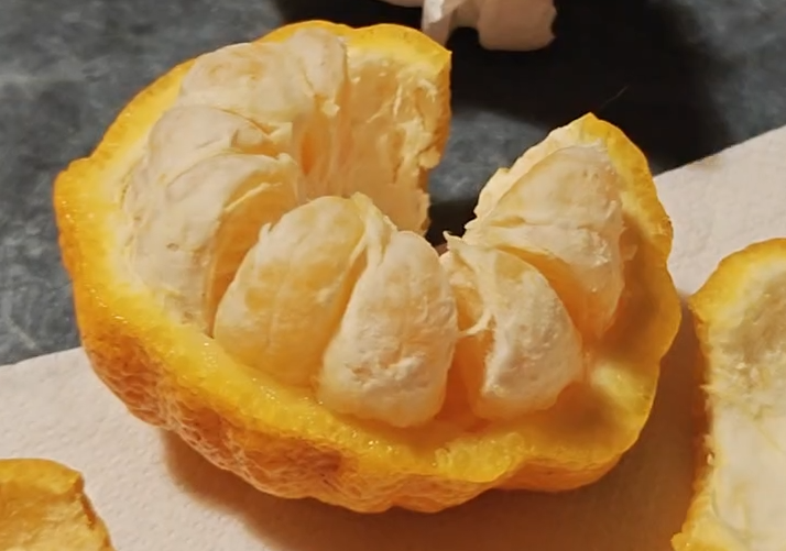 Citrus Ventura