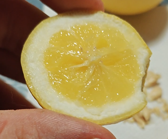 Citrus Z82