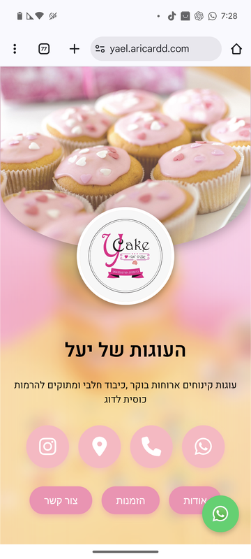 פרויקט 2