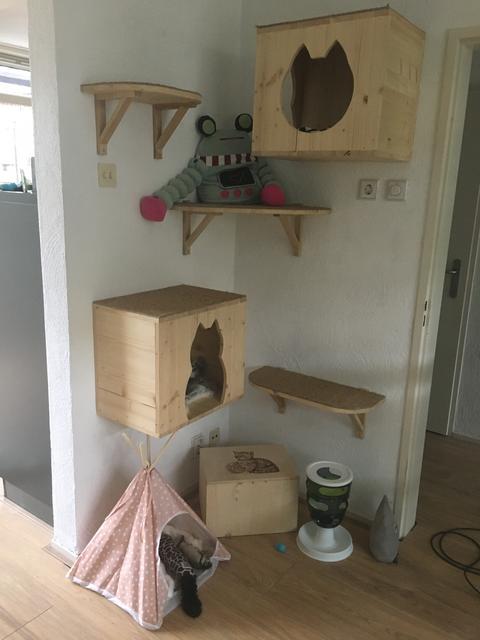 DB9AB64F-1F17-4950-9D0B-8D7393D35BCF