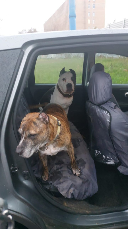 8822D304-B8CA-4281-B847-4811B89CCA59