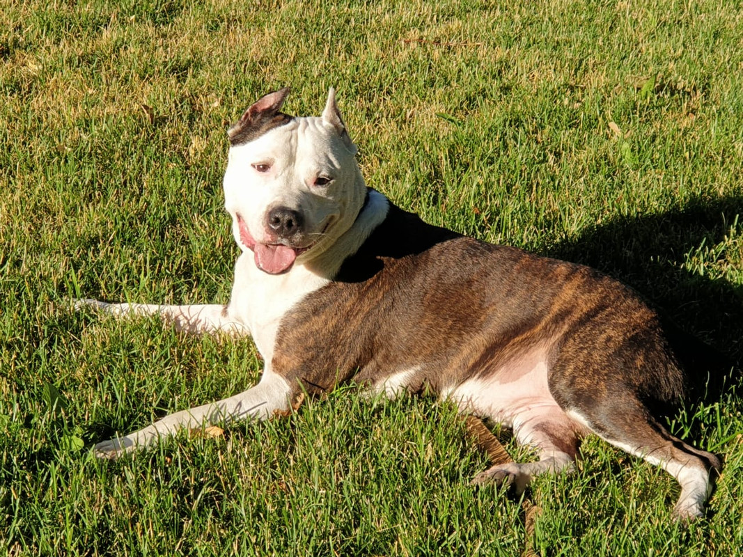 EEEC62D3-DFAA-4AF0-A935-663C06403C3F