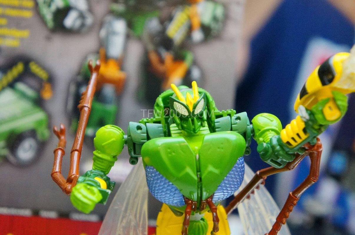 1009065_401484829967882_806794651_o