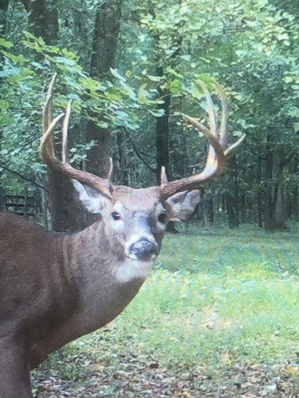 D38AFDD9-654B-4F3D-89C4-68ED25276129