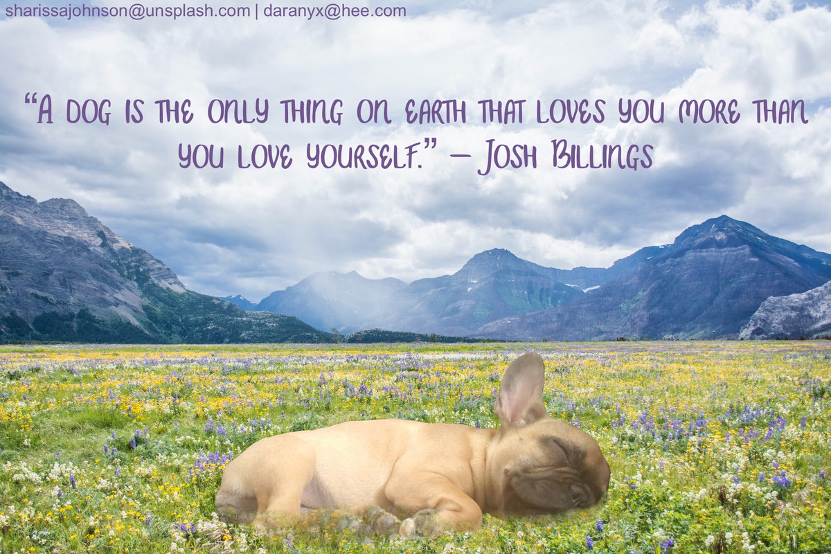 796E425C-3EB5-4B69-A7B0-9AF0DA314CC0