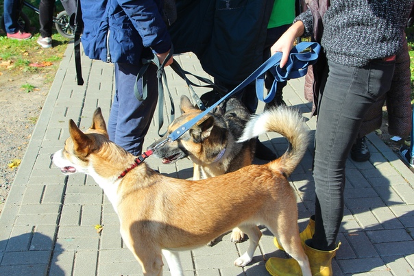 89C3DB24-D762-4169-AE57-0640FE2D69D6