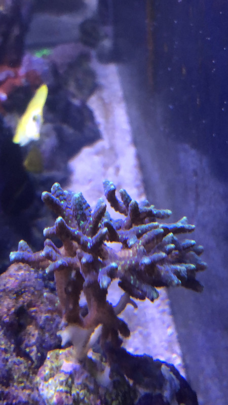 64E5E7AC-D91E-43B1-AD97-9DC950E20B66