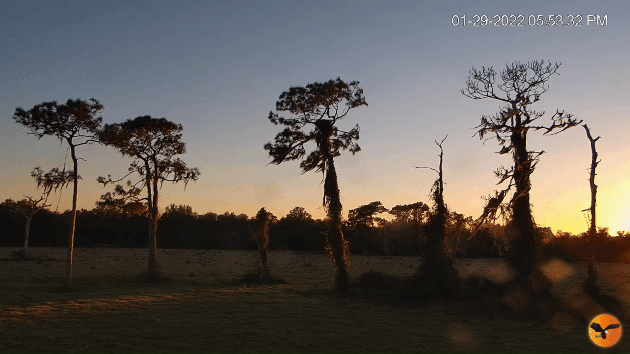 Webp.net-gifmaker (1)