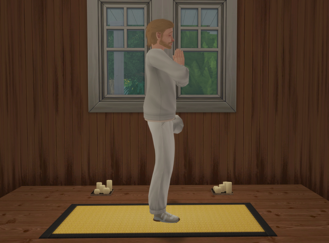 Sims2-EP9-RPC-2024-03-09-16-53-50-72