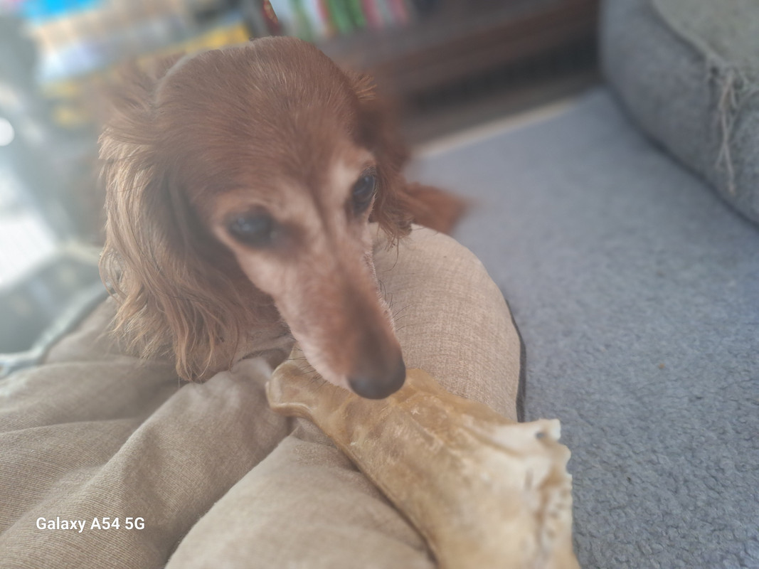 [Image: 20240917-135411.jpg]