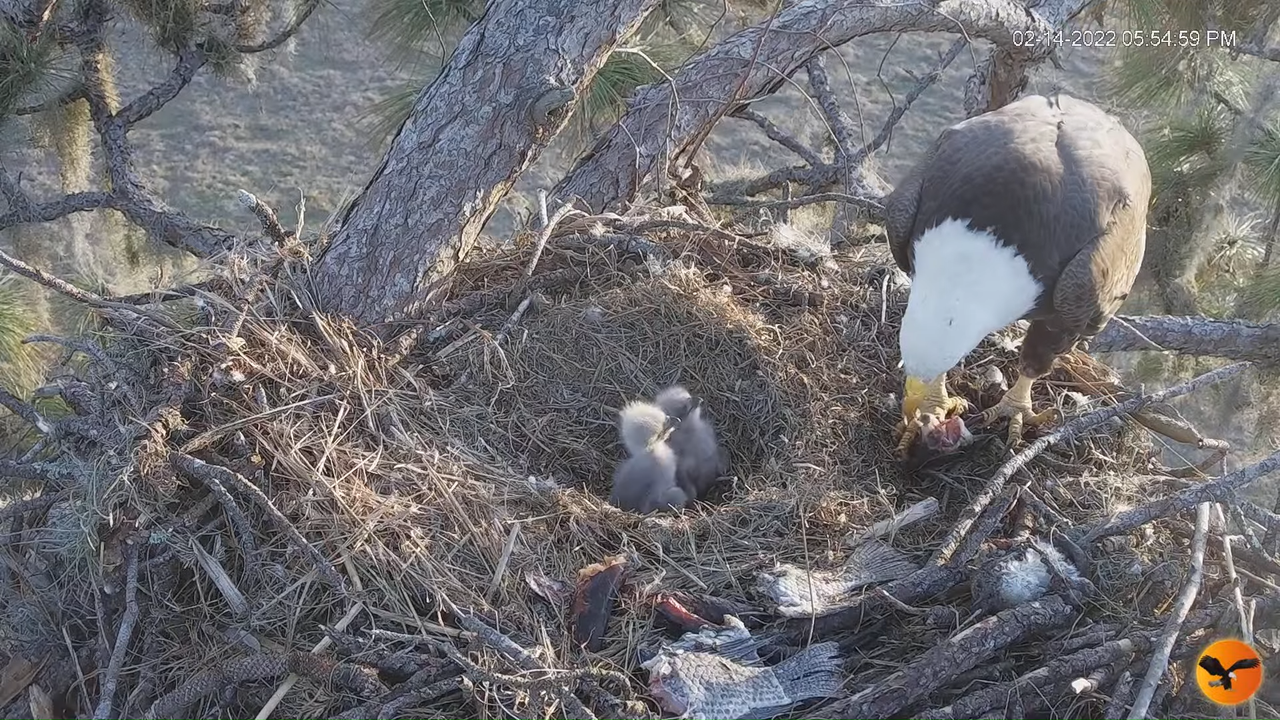 EC 4K Overhead Cam 3-45-44 screenshot