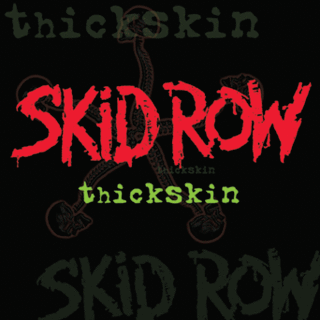 Skid Row - Thickskin (2003).mp3 - 320 Kbps