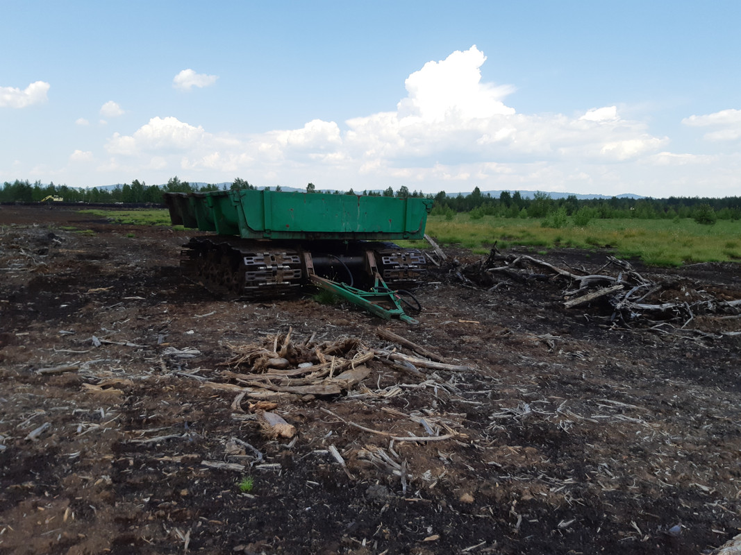 04.20 - 20180601_120629 (PiTT)