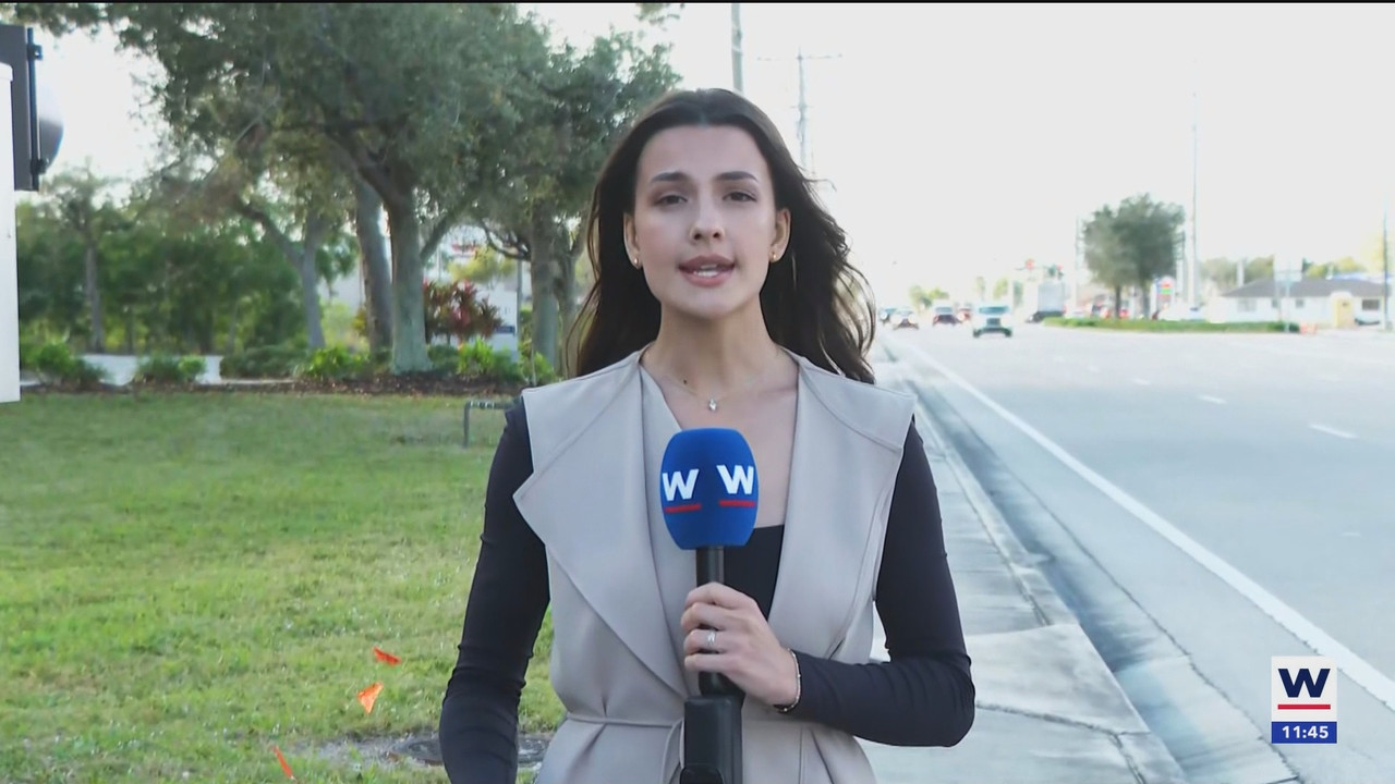 WINK NEWS at 1130am_20250302_16301700.ts_snapshot_16.10.345