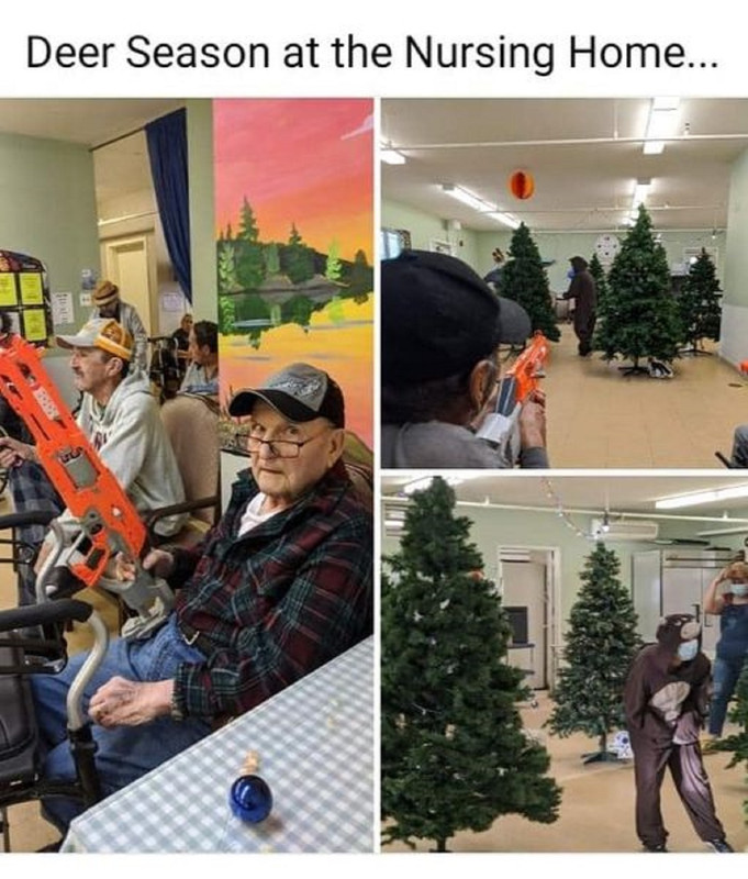 87482779.jpg