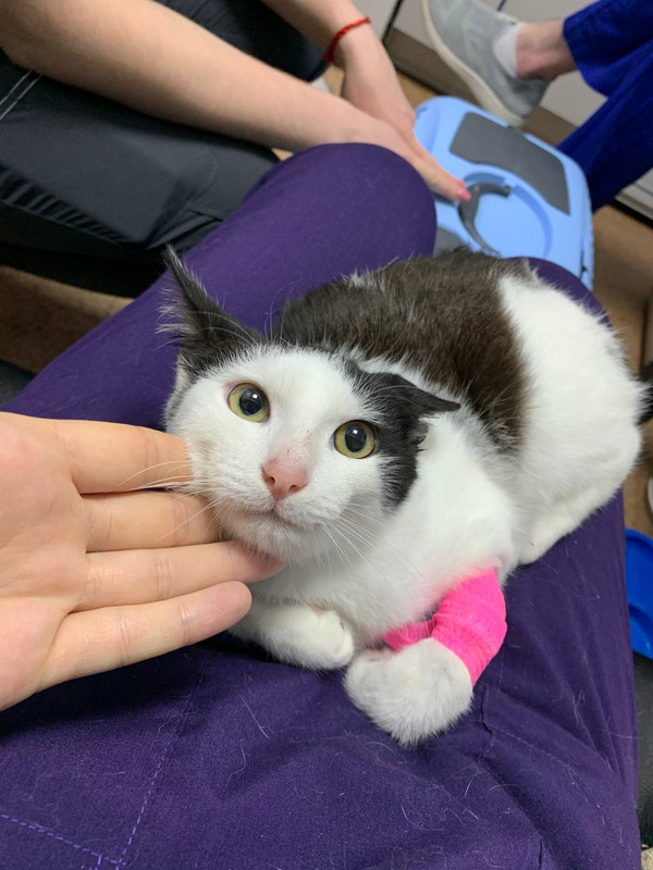 8EBF425D-9027-4DE3-A38E-DD64EDD2E9E0